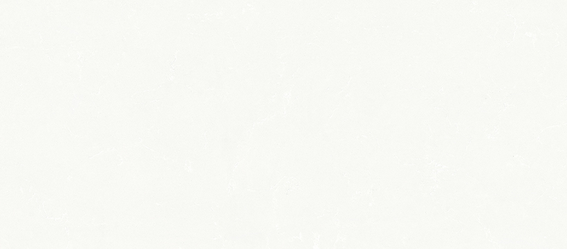 29021 銀裝素裹