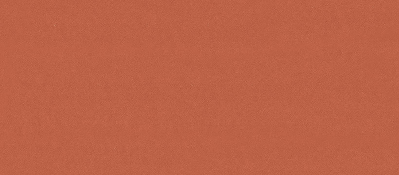 2203 陽光橙